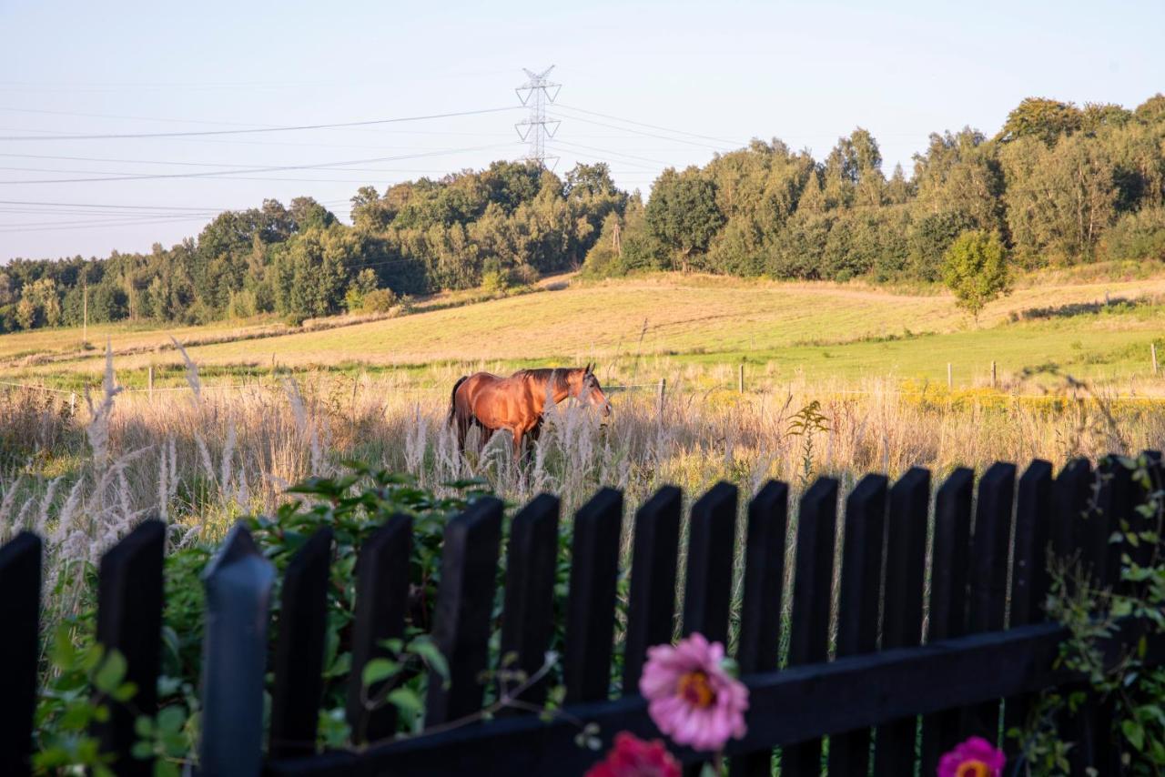 Homestay Mietowe Zacisze Zator