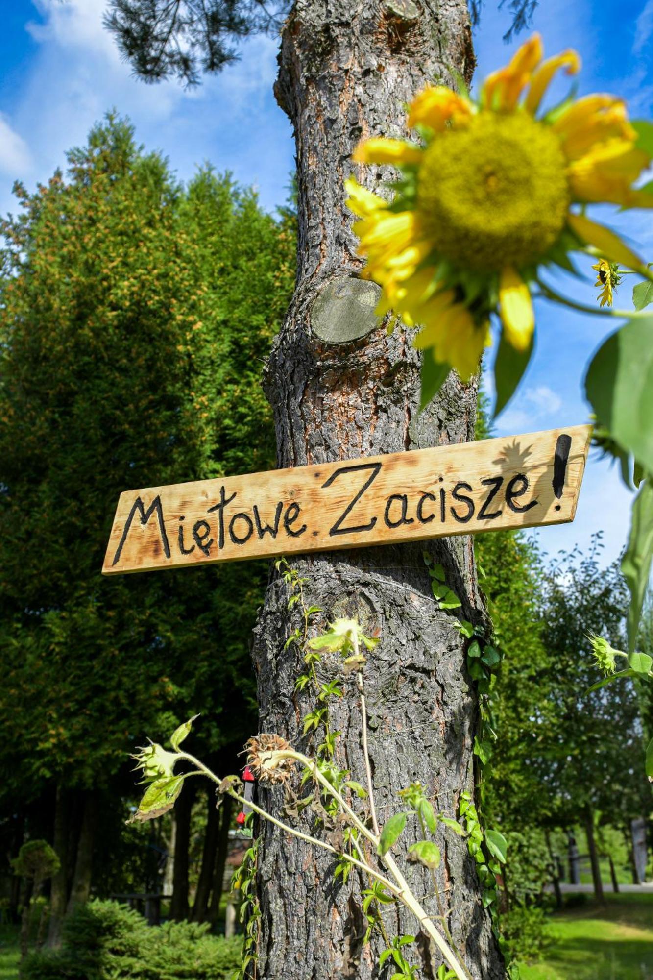 Mietowe Zacisze Zator